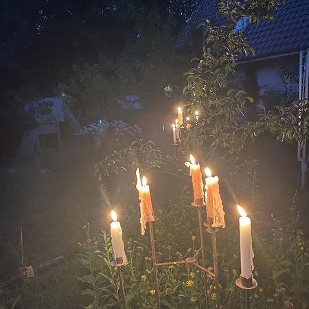 Waldhaus Bei Berlin Apartman Eggersdorf Kültér fotó